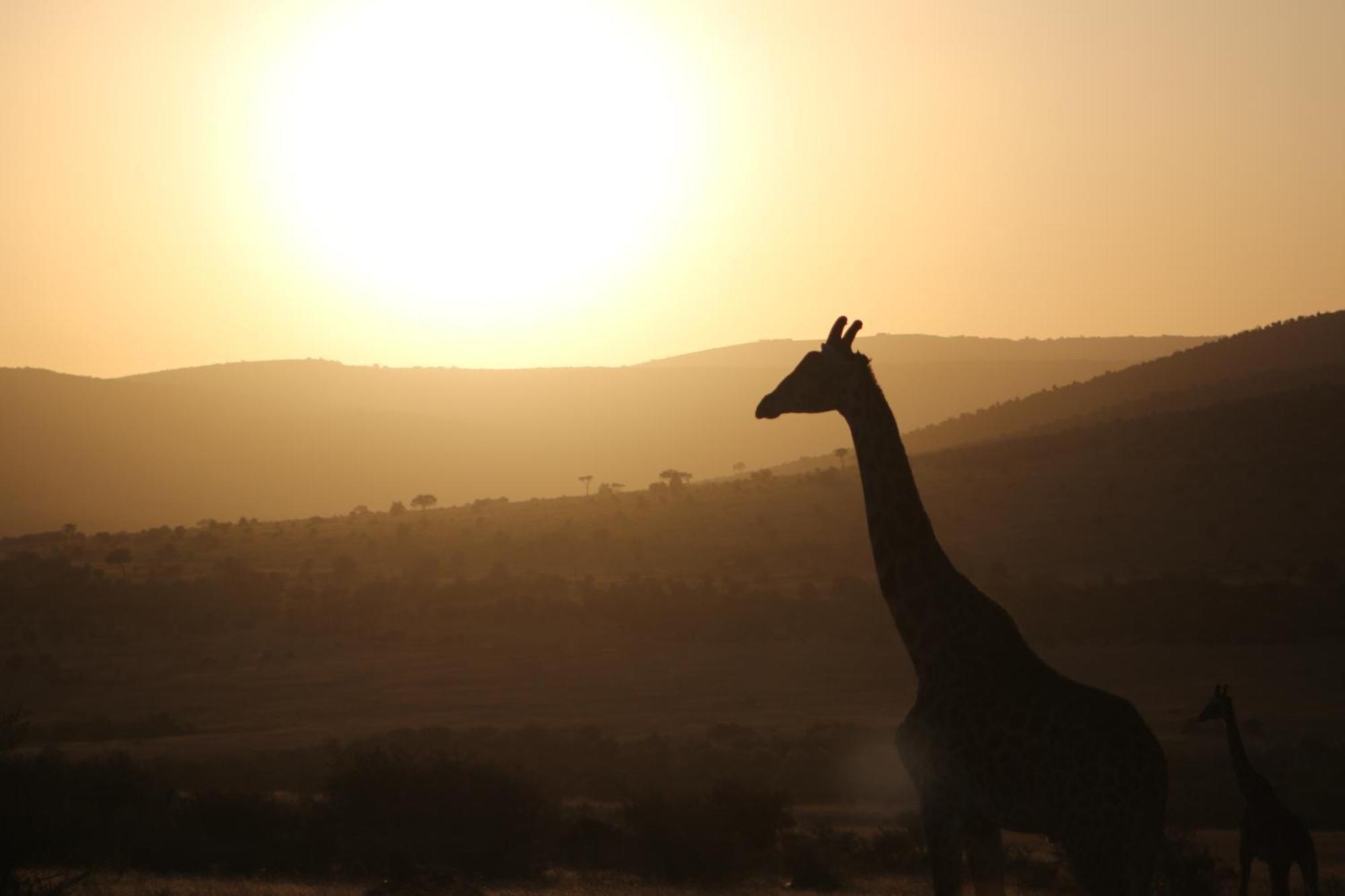 Samana Mara Hotell Maasai Mara Eksteriør bilde